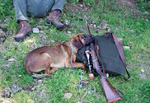 Corsi per conduttori di cani da traccia