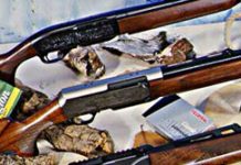 Comparativa carabine semiautomatiche calibro .30-06