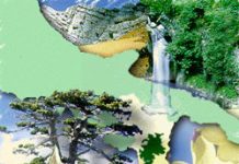 Selecontrollori per il Parco del Pollino