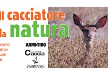 Concorso fotografico: le foto del mese