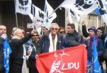 Cacciatori sotto attacco!