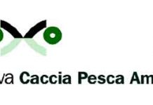 Cani protagonisti all’Expo di Riva del Garda