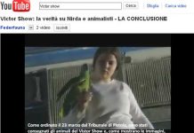 Victor show, uno scandalo animalista
