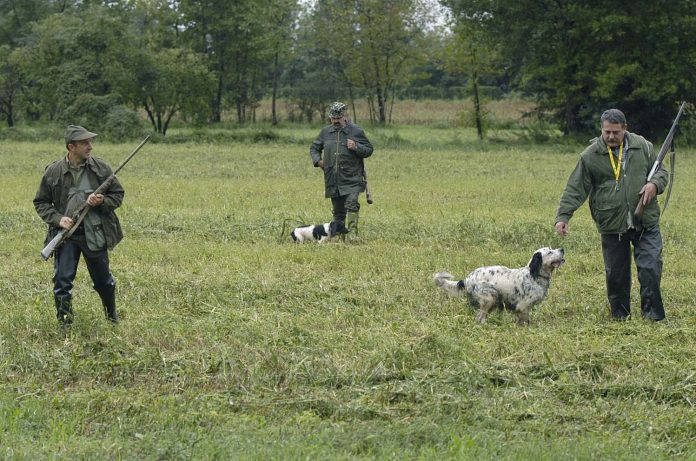 caccia-cacciatori-con-cane