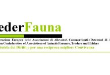 Federfauna: in Liguria, tragedia annunciata