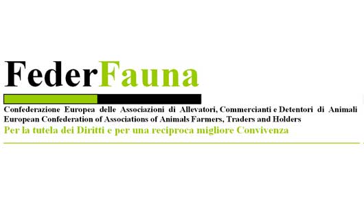 feder1