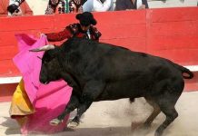 La Catalogna abolisce la corrida