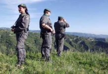 Il decalogo dei forestali per una serena stagione di caccia