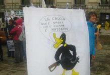 Federfauna: quattro gatti a Venezia, ma disinformazione a tutto spiano