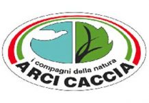 Anche Arcicaccia risponde al Wwf sull’abilitazione all’uso delle armi