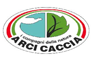 arci