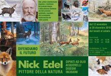 Nick Edel, pittore della natura