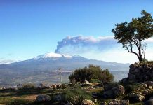 Caccia “confusa” in Sicilia