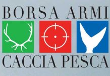 Armi, caccia e pesca a Bellinzona