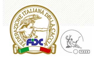 fidc