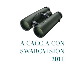 2011
