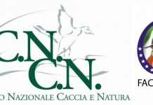 I cacciatori italiani e la caccia