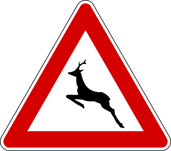 animali_selvatici_vaganti