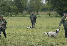 Cia: non fermate il tavolo nazionale sulla caccia