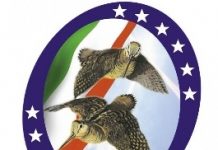 Il documento che esiste solo per gli ambientalisti