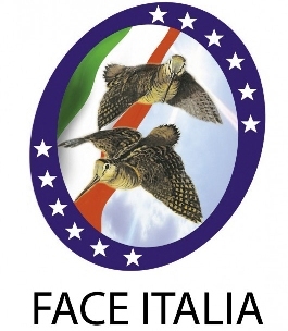 faceitalia