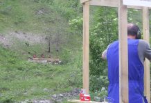 Cinghiale corrente a Valle Duppo