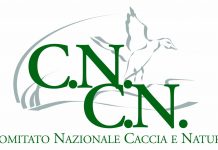 Cncn: allarmismi inutili sulla preapertura