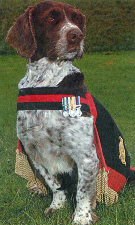buster