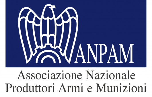 anpam.jpg_530.jpg_530