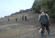 Chiusa la stagione, incidenti dimezzati