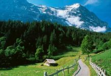 Svizzera: più controlli sulle persone pericolose armate