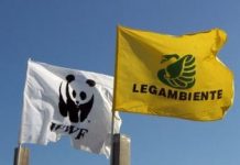 La responsabilità (furbetta) degli ambientalisti