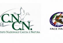 Brambilla inciampa sui contributi