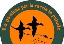 Raccogliete informazioni sugli acquatici!