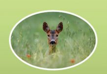 Convegno su animali e ambiente ad Arenzano