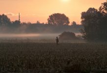 Veneto, il Tar rimuove la sospensiva, si può cacciare