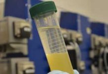 Dalla cordite al bio-diesel