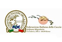 Altre regioni vincono al Tar