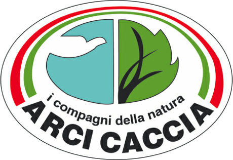 arcicaccia-logo