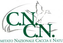 Cncn: “alle urne usiamo la testa!”