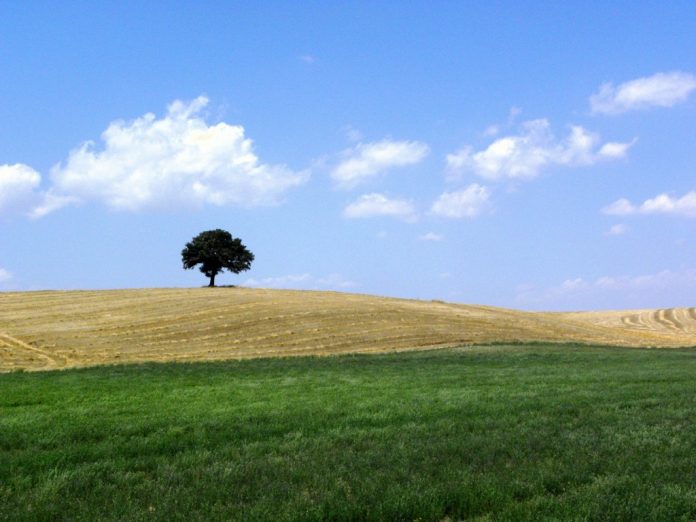 Maremma