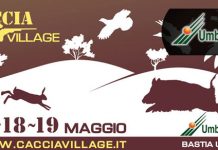 Caccia e pesca village a Bastia umbra