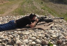 Steyr Hs 460 calibro .460 Steyr