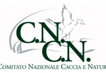 Il convegno sul piombo in diretta streaming