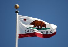 La California reintroduce il grizzly