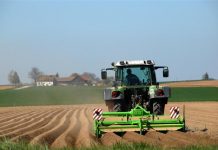 Ne uccide più il vegetariano…