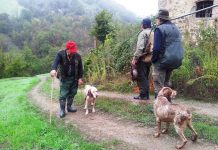Termina la stagione venatoria, sicurezza in aumento
