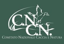 Incidenti di caccia, c’è chi ama giocare con i morti