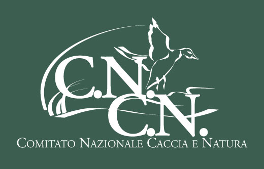 Cncn
