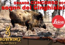 Il sogno del cinghialaio 2014